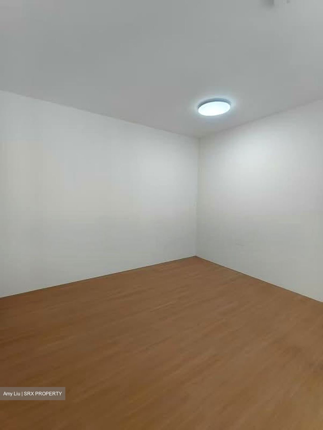 Piccadilly Grand (D8), Apartment #566508041